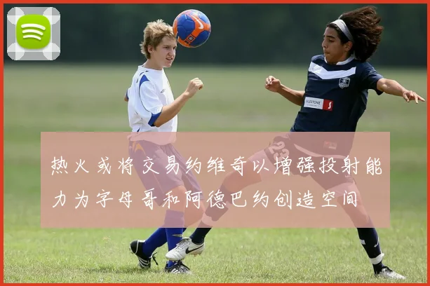 热火或将交易约维奇以增强投射能力为字母哥和阿德巴约创造空间