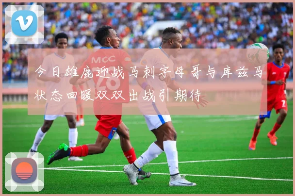 今日雄鹿迎战马刺字母哥与库兹马状态回暖双双出战引期待